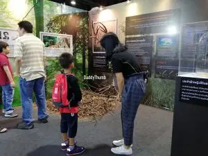 ช่วยลูกดึงศักยภาพออกมา